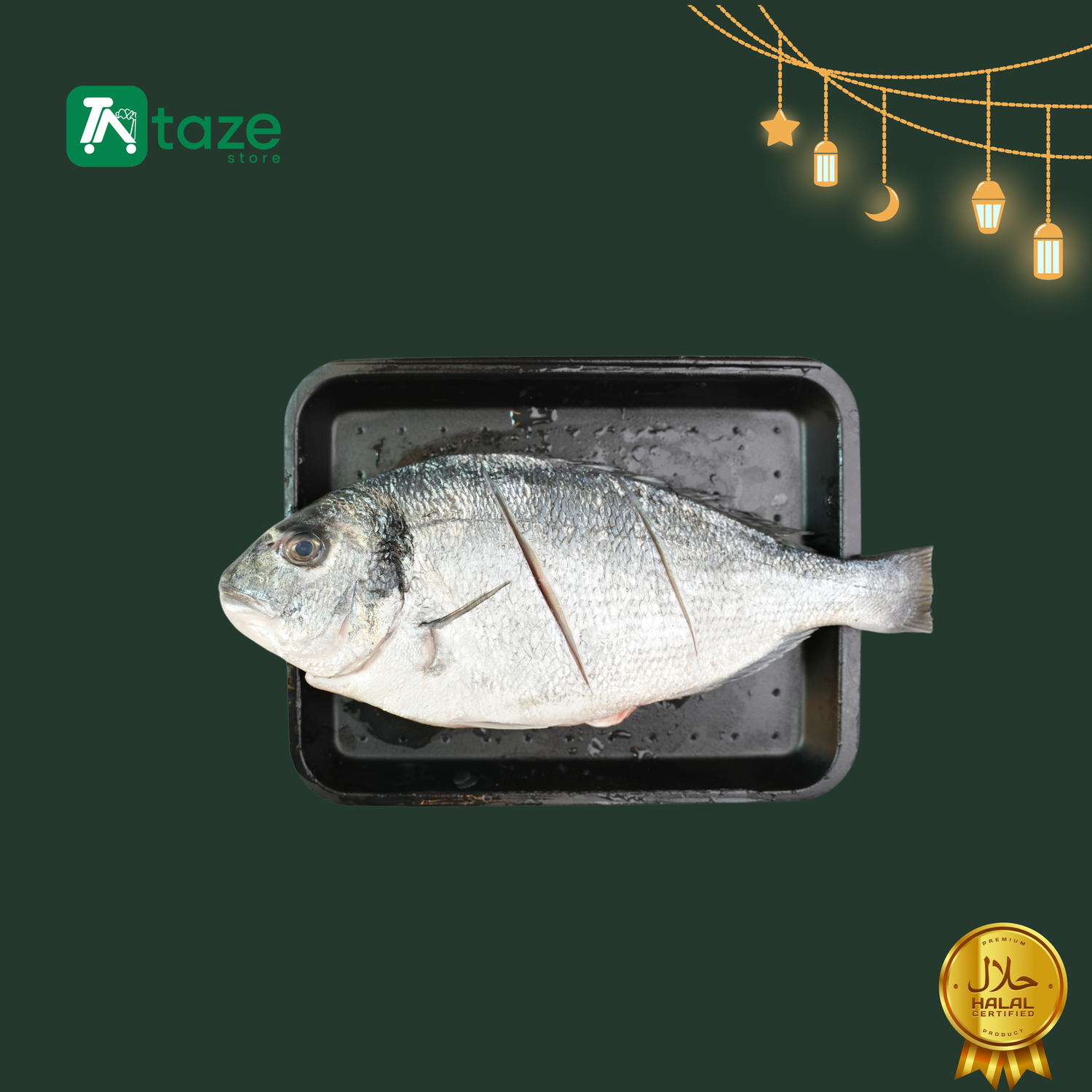 Fish