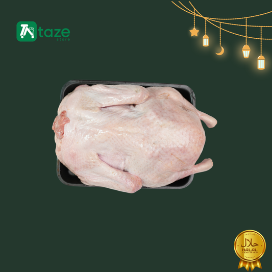 بطة كاملة مجمدة حلال