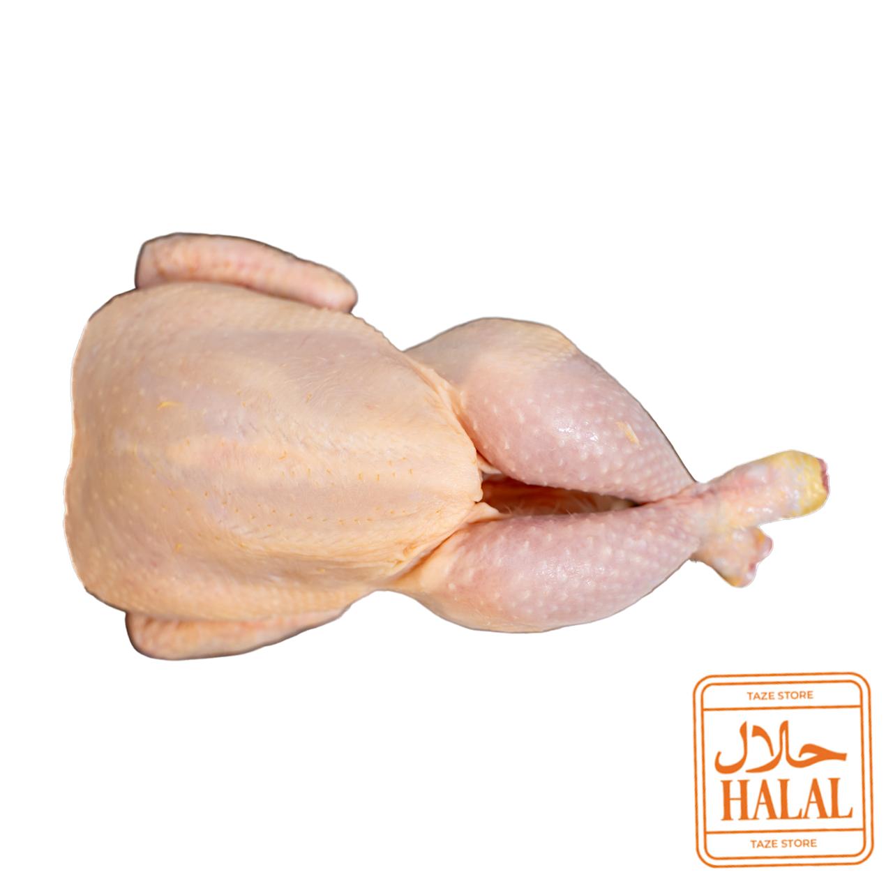 دجاجة كاملة حلال