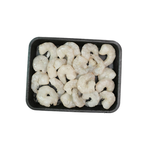 Shrimp