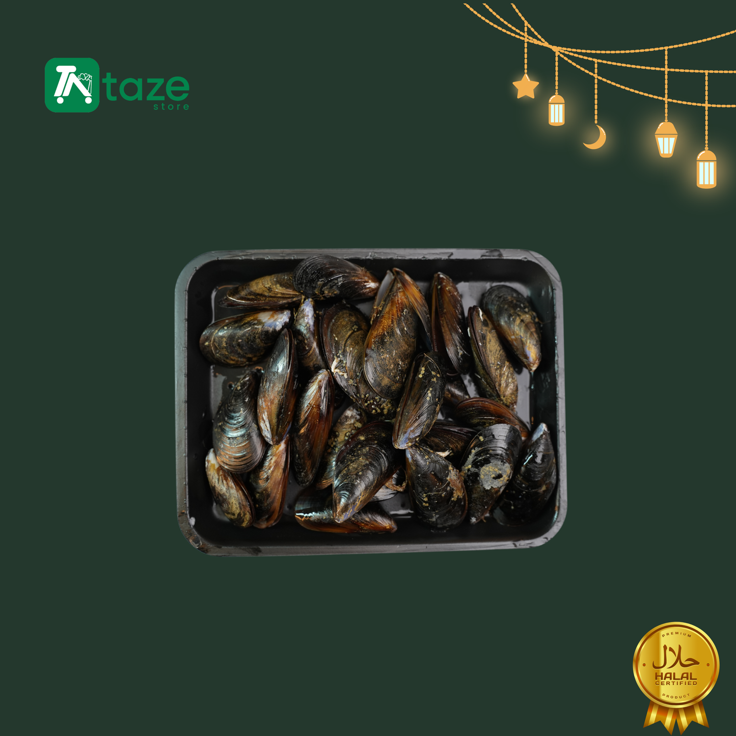 Gefrorene Muscheln
