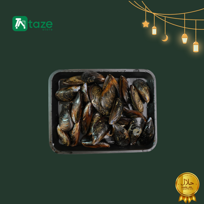 Gefrorene Muscheln